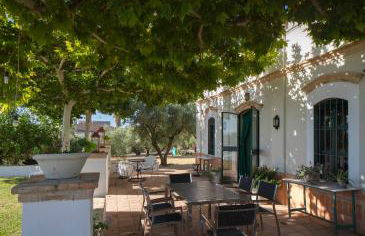 Finca Olivo Llorón - Foto 54