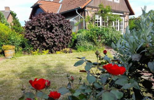 Ferienhaus Gartower See - Foto 41