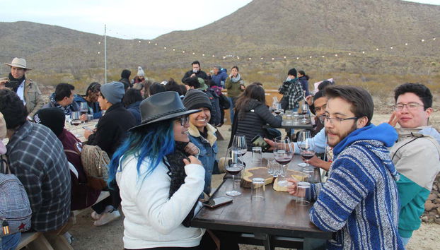 Profitez d'une excursion œnologique dans le Cerro Colorado