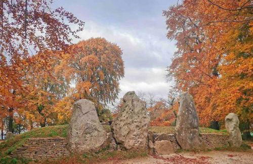Oxfordshire Country Cottage - Foto 79