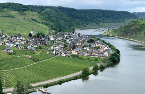 Weingut im Moselkrampen - Foto 22