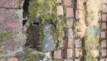 Alte Schule Bollersen - Foto 3