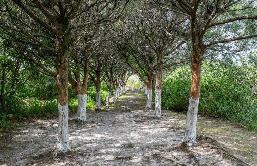RJ Residencial Beira Mar Maravilhosa Casa Frente Mar da Pinheira com piscina - Foto 43