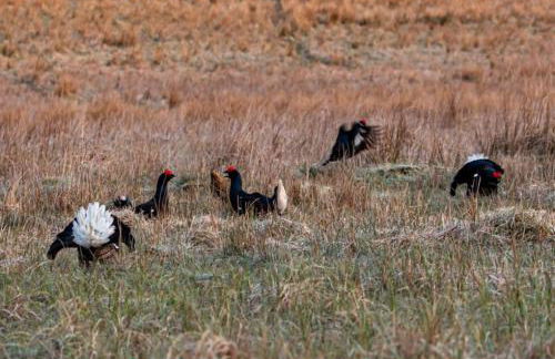 Carrs Cottage, Westgate in WEARDALE - Photo 29