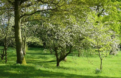 The Motor House - Foto 32