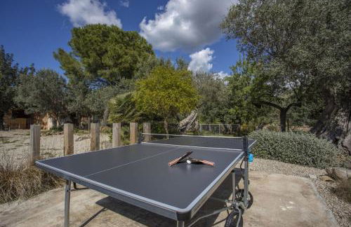 Finca Barons - Foto 16