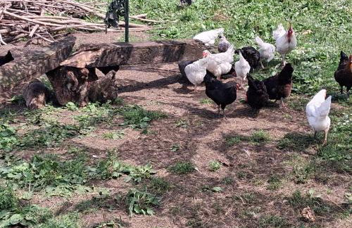 Bed and Bike Rheine - Foto 62