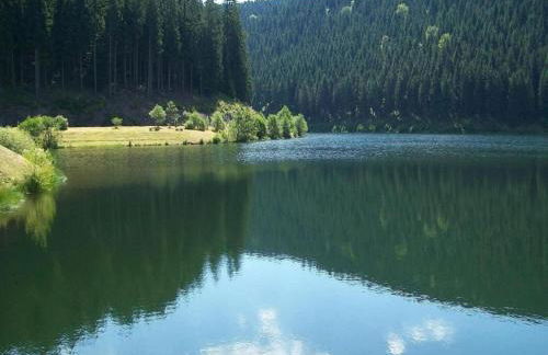 Apartment near Rennsteig - Photo 38