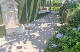 Olivendra Thassos - Photo 31