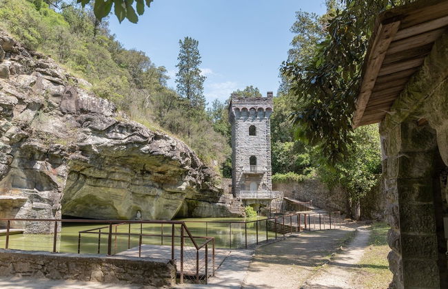 Fattoria di Maiano - Foto 29
