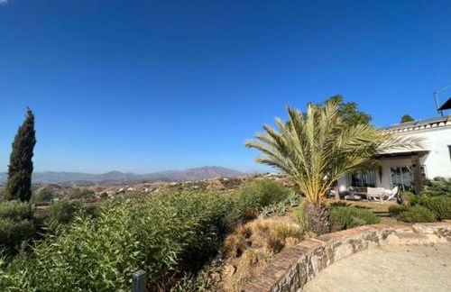 El Cortijo - Photo 34