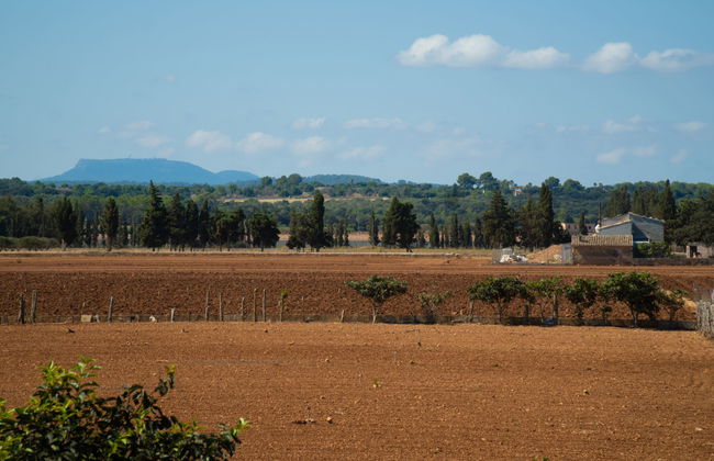 Son Vivot - Photo 64