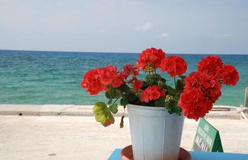 Socrates Seaside Apartments - Foto 40