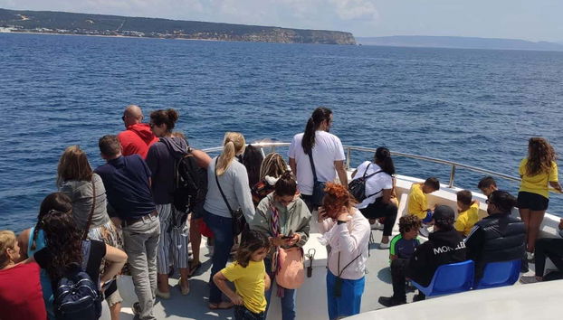 Avistamiento de ballenas y delfines en Barbate - Foto 5