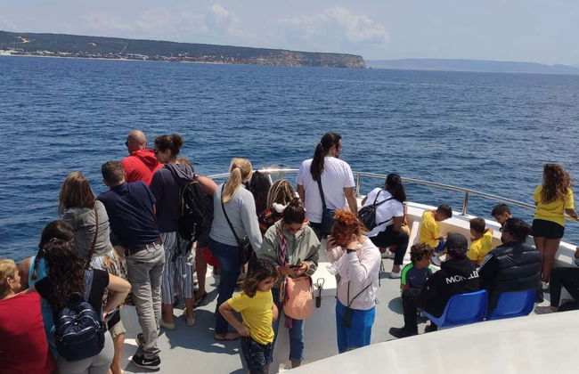 Whale & Dolphin Sighting Tour - Photo 5