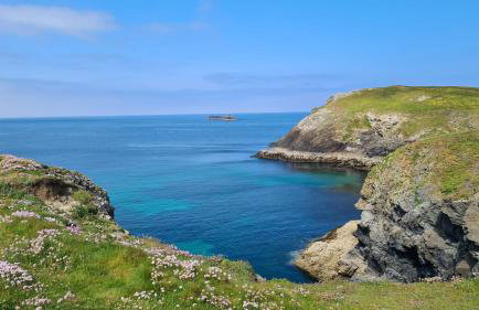 Detached Bungalow in North Cornwall - Foto 28