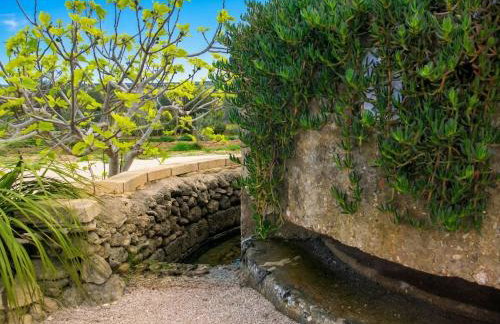 Masseria Causio - Photo 33