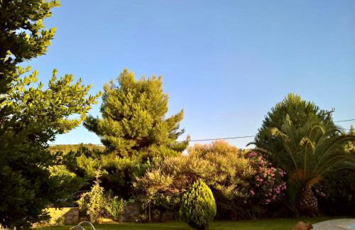 Villa Marita - Photo 20