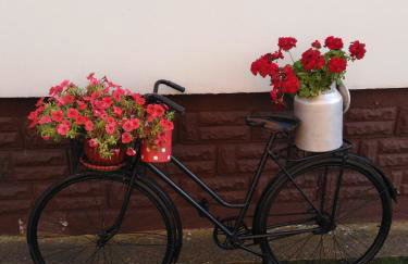 Apartmani MARIN-ŽUPANJA - Foto 70