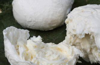 Agriturismo Borg da Ocjs - Photo 29