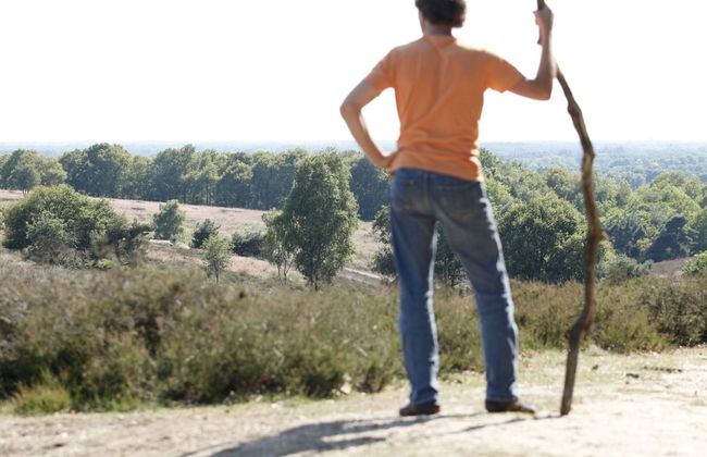 Holiday Home in Gelderland Near Nature Trails - Photo 22
