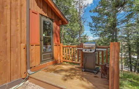 Cabin~Views~Heart of Town~W&D~Fireplace~Kitchen - Foto 36