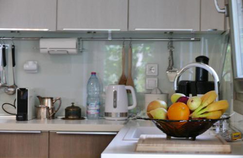 Art Villa Pelion - Foto 66