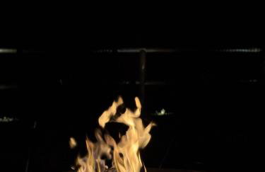 Casa de Areal - Foto 46