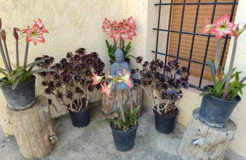 Vivienda Rural Belén - Foto 27