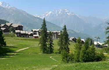 Puy Saint Vincent Le Hameau des Écrins agréable appartement 30m2, de 4 à 6 couchages - Foto 25