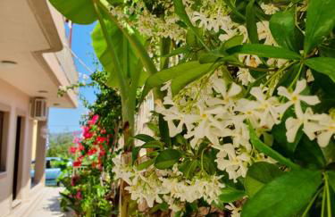 Helen of Troy House - Foto 75