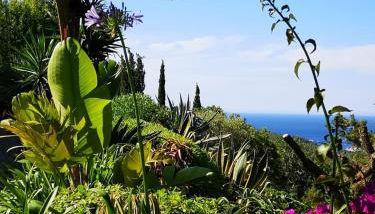 Can Pardal - Foto 4, Garden, Garden view