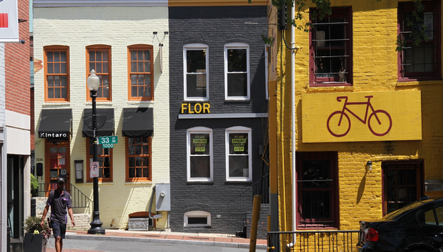 Travel Curious: Georgetown Histórico - Tour privado a pie de medio día - Foto 4