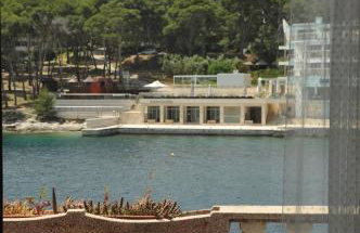 Jungle & Sea Boxavia - Foto 1