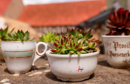 Biobauer Heubach - Foto 47