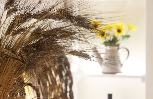 Trullo Madia with Shared Hot Tub in Nature - Foto 14