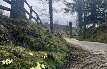 La Casina del Cabecin en Parque Natural de Redes - Foto 43