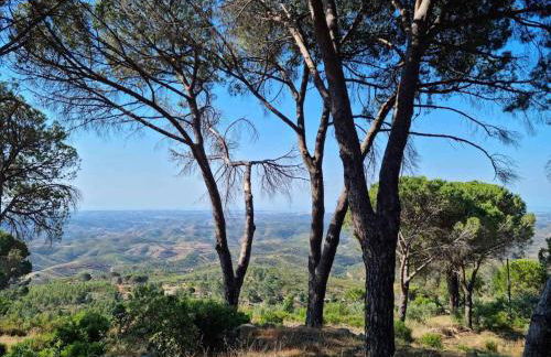 Quinta da Idalina - Foto 21