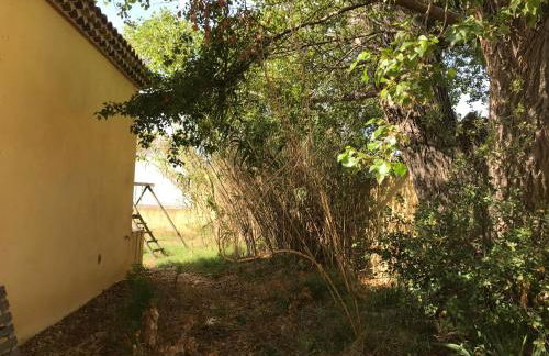 Appartement à la mer - Foto 4