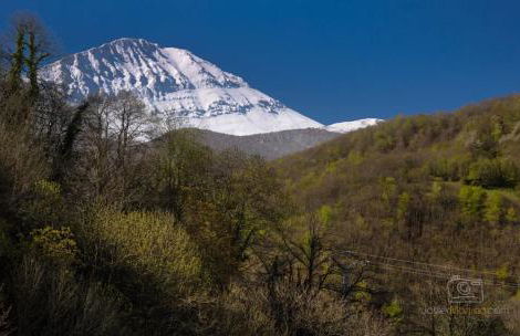 La Casa Roja de Quirós - Foto 38