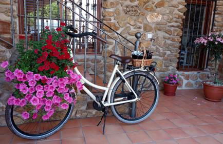 Casa Rural Marineta Casiana - Riópar - Foto 21