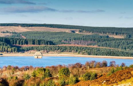 Cabin W Hot Tub, Sauna, King Beds, National Park - Foto 24
