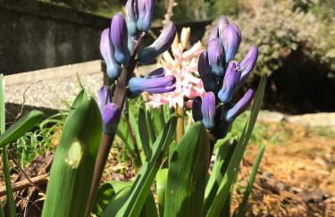 Big Apartment with Lake View and Three Bedrooms - Foto 36