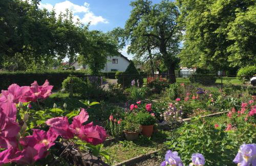 Lieblingsnest - Foto 6