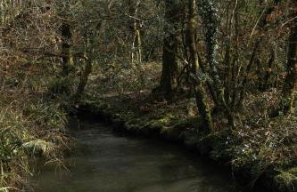 Tresillian Lodge Waterfront, Forest, Hot tub,Sauna - Foto 37