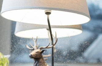 Drylaw House, Grade A Listed Mansion near City Centre - Foto 6