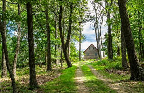 Mountain cabin w hot tub & deck views - Photo 23