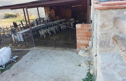 cortijo la laguna - Foto 32