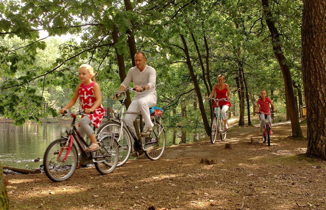 Chalet Near Eindhoven in a Green Oasis - Photo 3