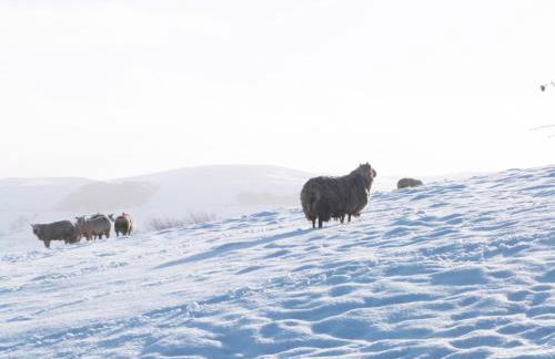 Orchard Cottage - Foto 22